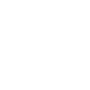 UNA CAMISETA ESTAMPADA, DOS LADOS