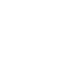 UNA CAMISETA ESTAMPADA